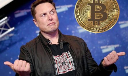 Elon Musk kauft Bitcoin