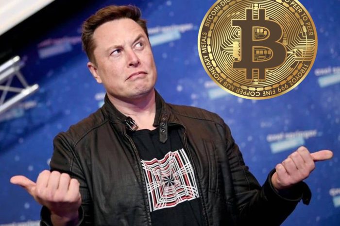 Elon Musk kauft Bitcoin? Kursexplosion nach Tweet